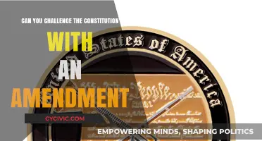 Amendments: Can They Challenge the Constitution?