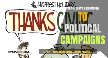 Anonymity in Political Donations: Is it Possible?