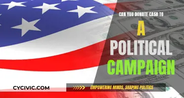 Donating Cash to Political Campaigns: Is It Allowed?