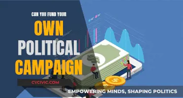 Funding Your Own Political Campaign: Is It Possible?