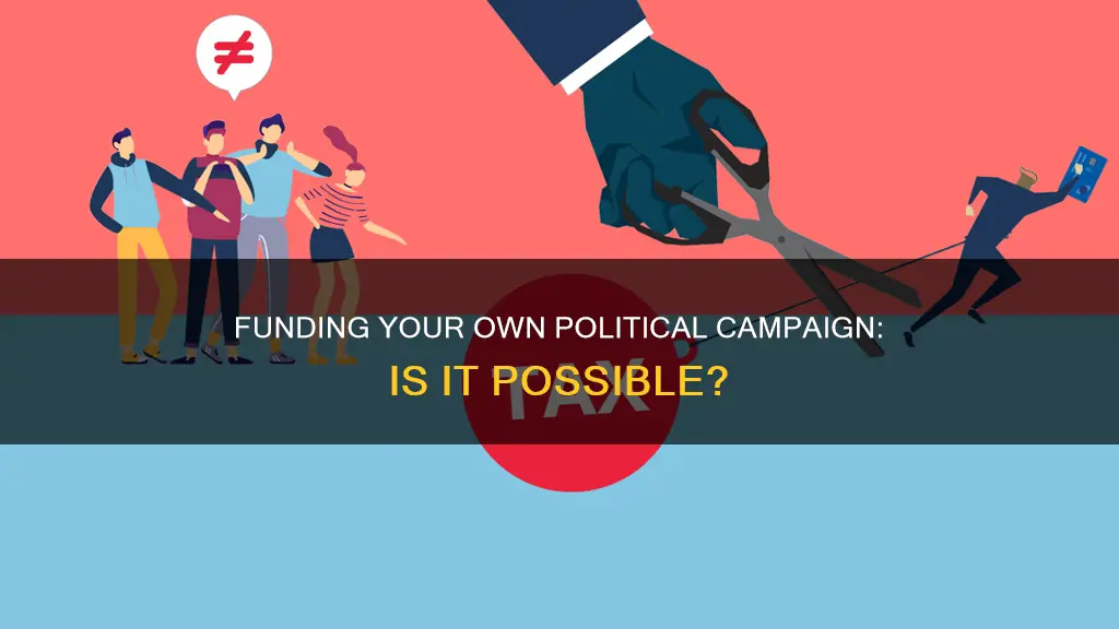 can you fund your own political campaign