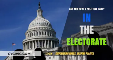 Can Political Parties Truly Represent the Electorate's Diverse Interests?