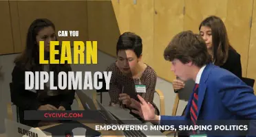 Mastering Diplomacy: An Art to Learn and Develop