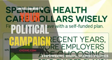 Borrowing Money for Political Campaigns: Is It Legal?