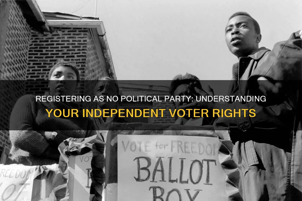 can you register as no political party
