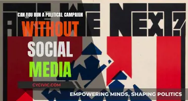 Social Media in Politics: Essential or Red Herring?