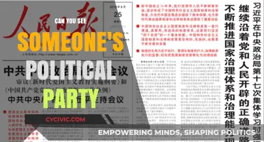 Can You Spot Political Affiliations? Unveiling Party Identification Clues