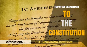 Suing the Constitution: Can You Challenge Amendments?