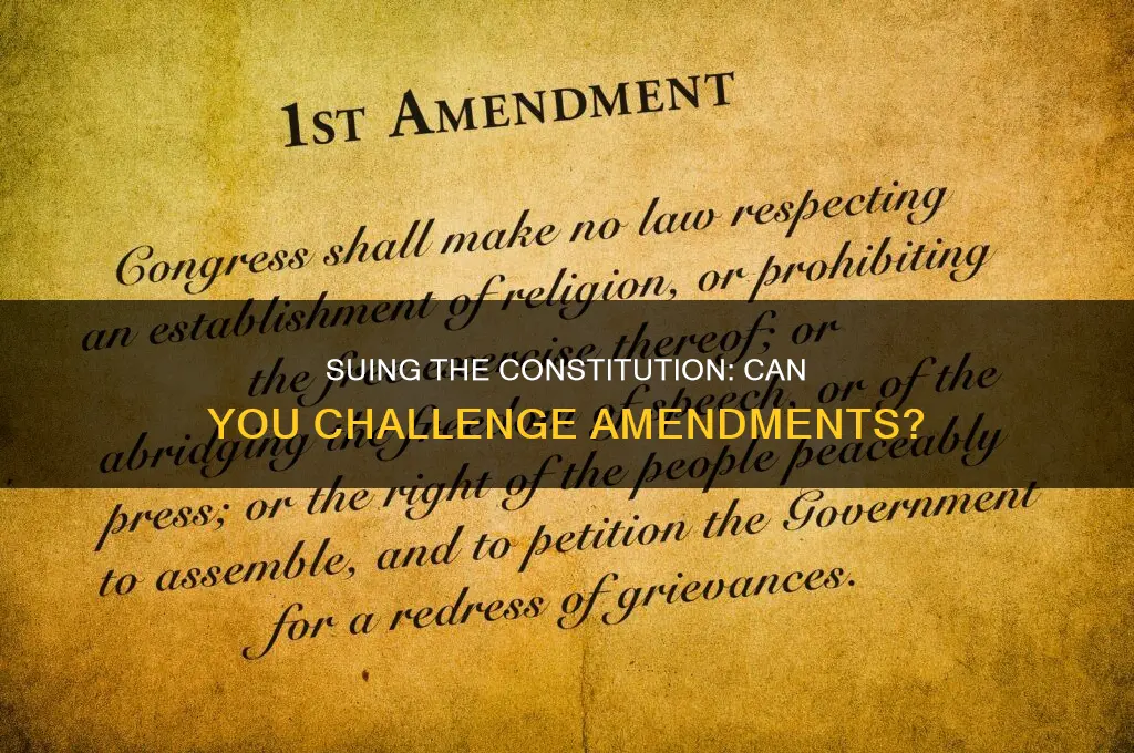 can you sue an amendment to the constitution