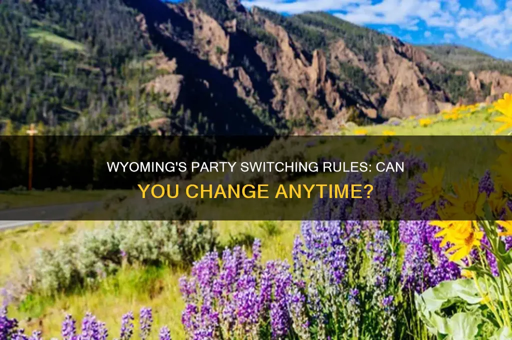 can you switch political parties in wyoming anytime