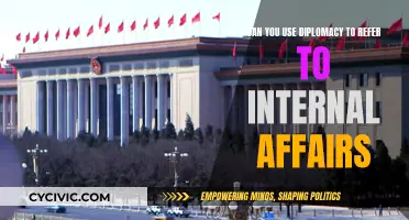 Diplomacy: Internal Affairs and Intricate Navigations