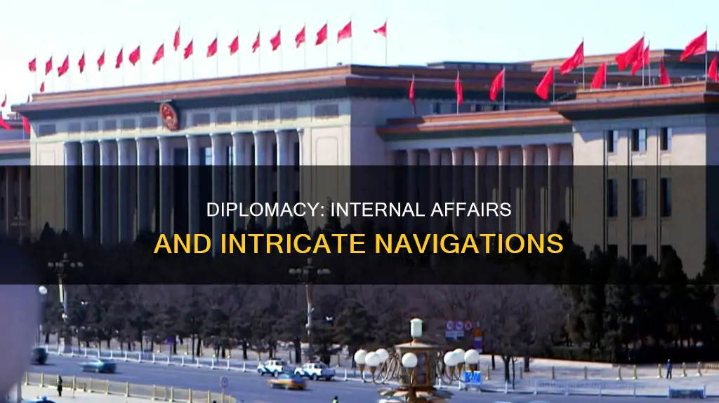 can you use diplomacy to refer to internal affairs