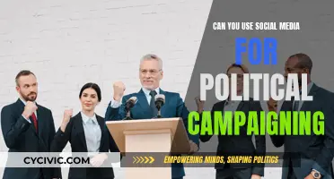 Social Media's Role in Political Campaigning