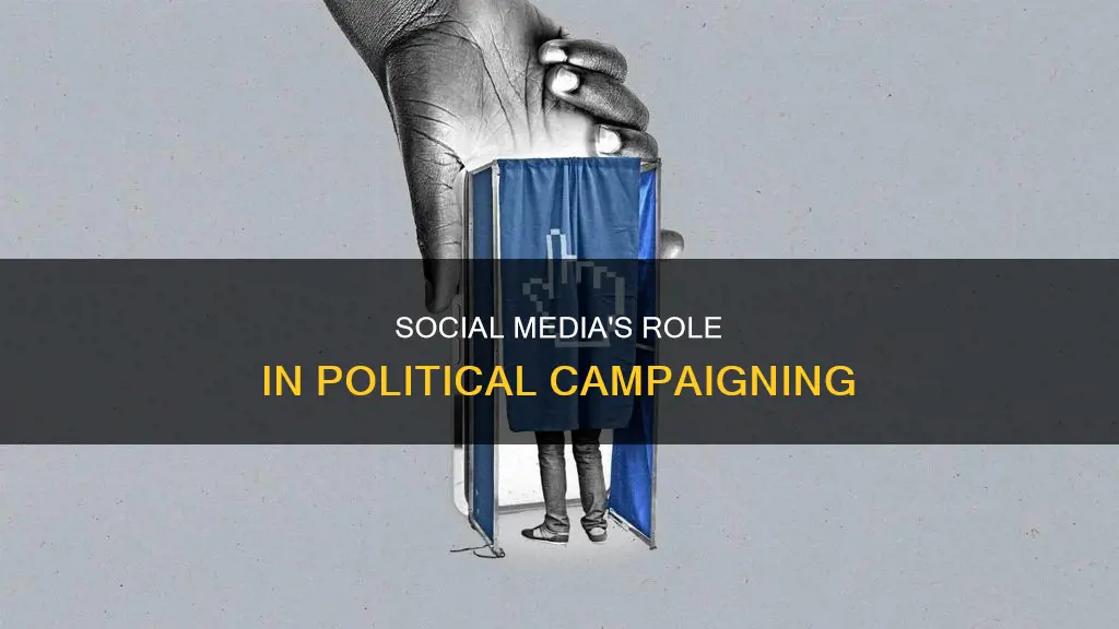 can you use social media for political campaigning