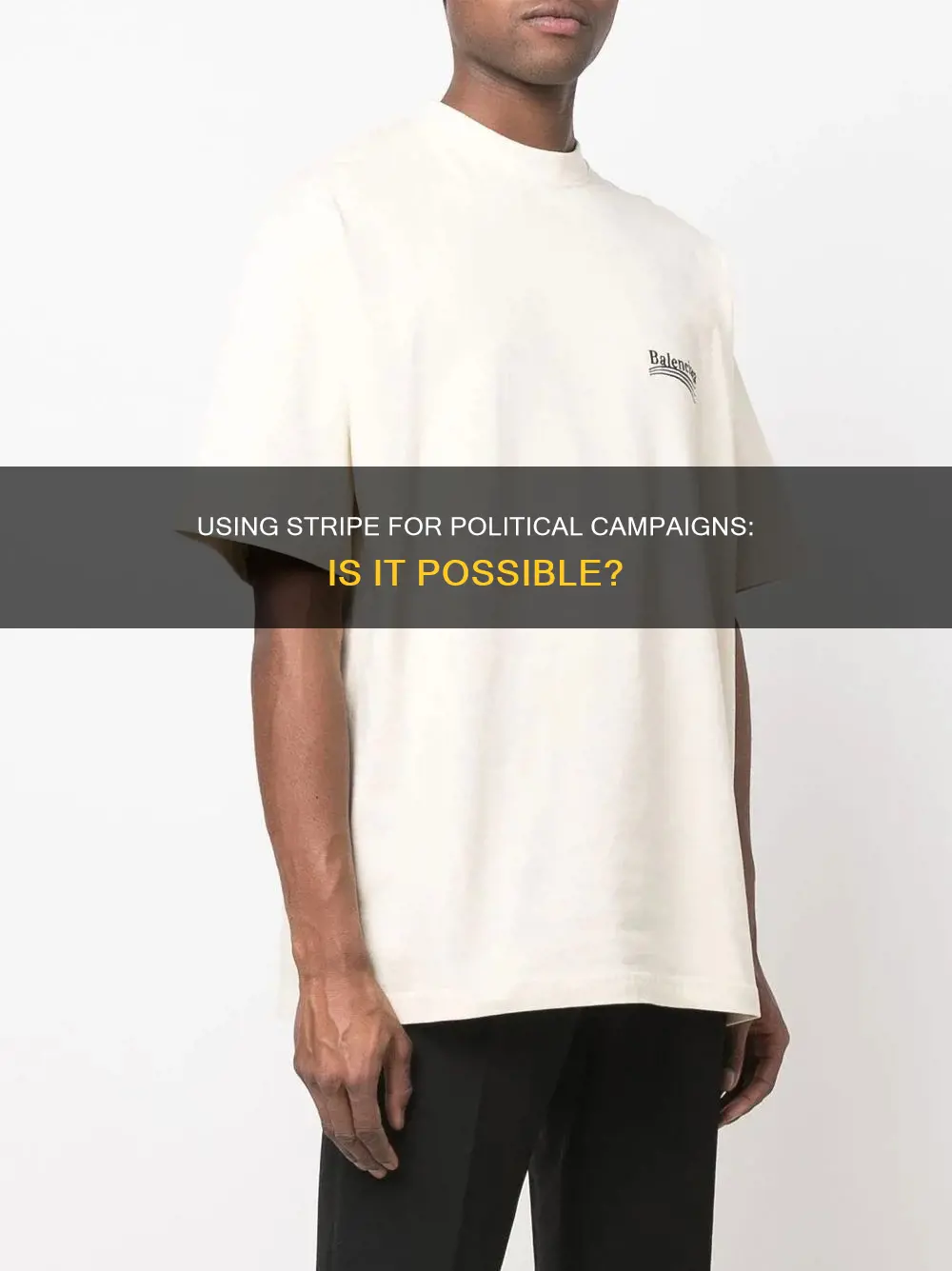 can you use stripe for political campaigns