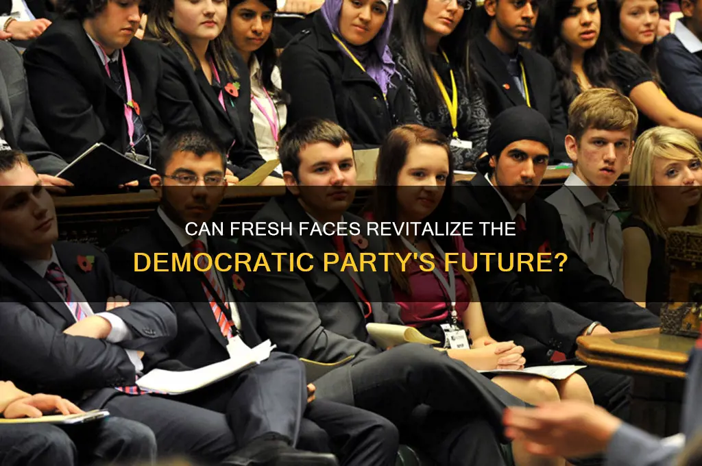 can young political outsiders save the democratic party
