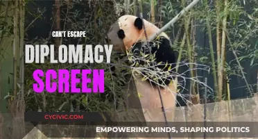 Diplomacy Screen: Navigating the Complex Web of International Relations