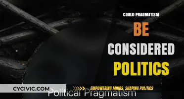 Pragmatism in Politics: A Philosophical Approach or Political Strategy?