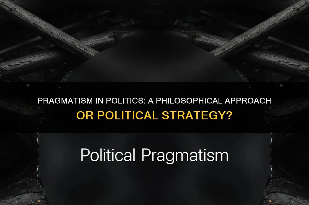 could pragmatism be considered politics
