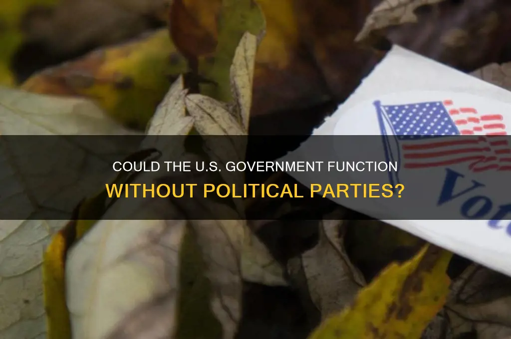 could the united states government have functioned without political parties