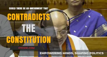 Amendments: Contradicting the Constitution or Necessary Evolution?