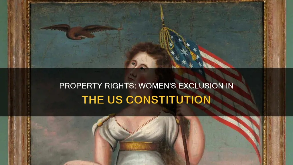 could women own property when the constitution was written