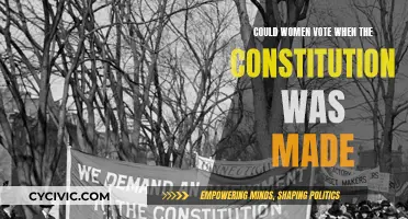 Women's Suffrage: A Constitutional Conundrum