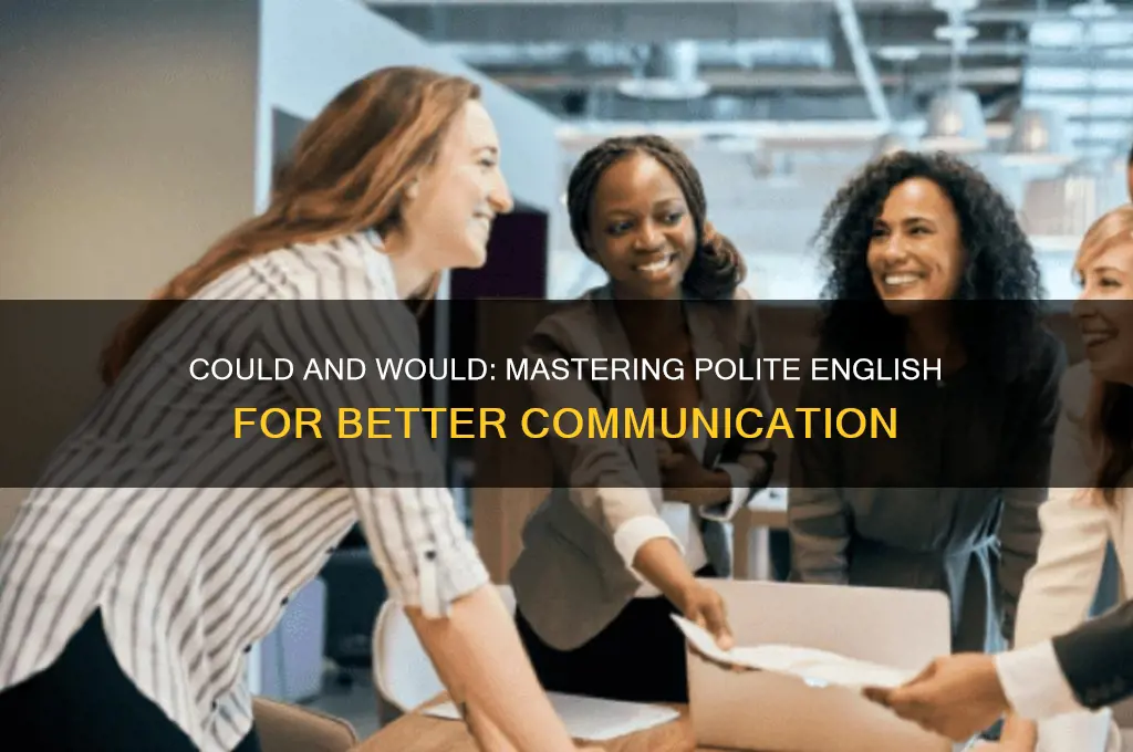 could would more polite