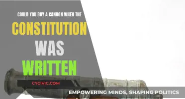 Weapons of War: Cannons and the Constitution