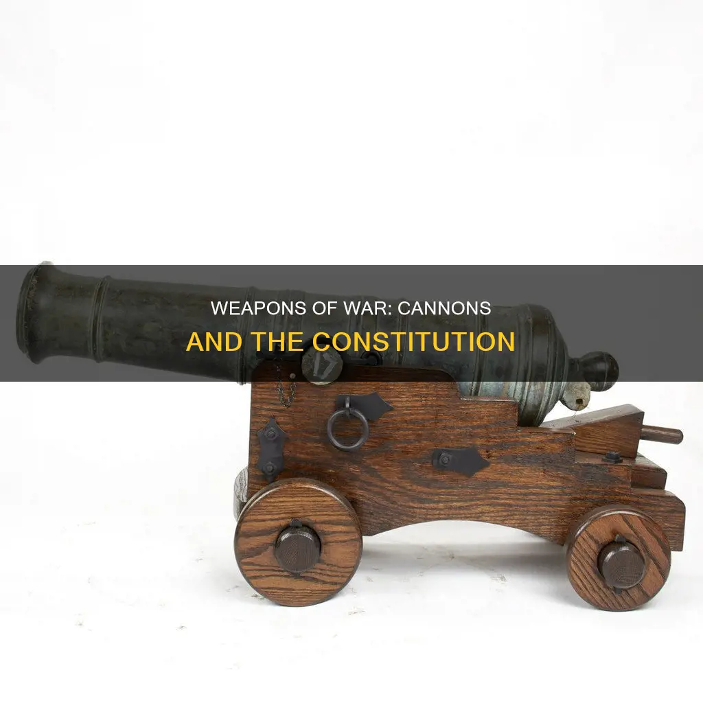 could you buy a cannon when the constitution was written