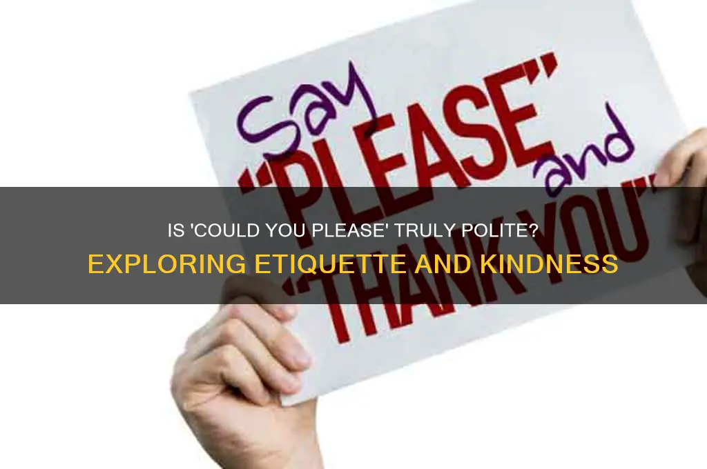 could you please is polite