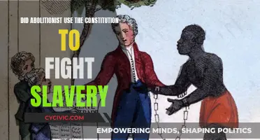 Abolitionists' Strategy: Constitution to Fight Slavery