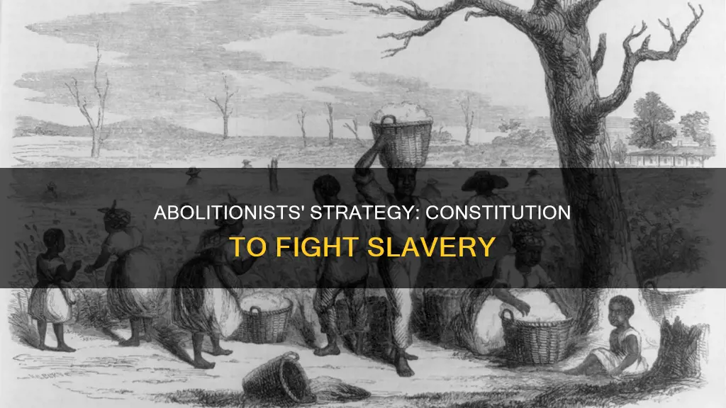 did abolitionist use the constitution to fight slavery