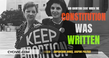 Abortion and the Constitution: Historical Context