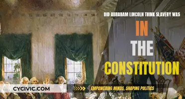 Lincoln's View: Slavery and the Constitution