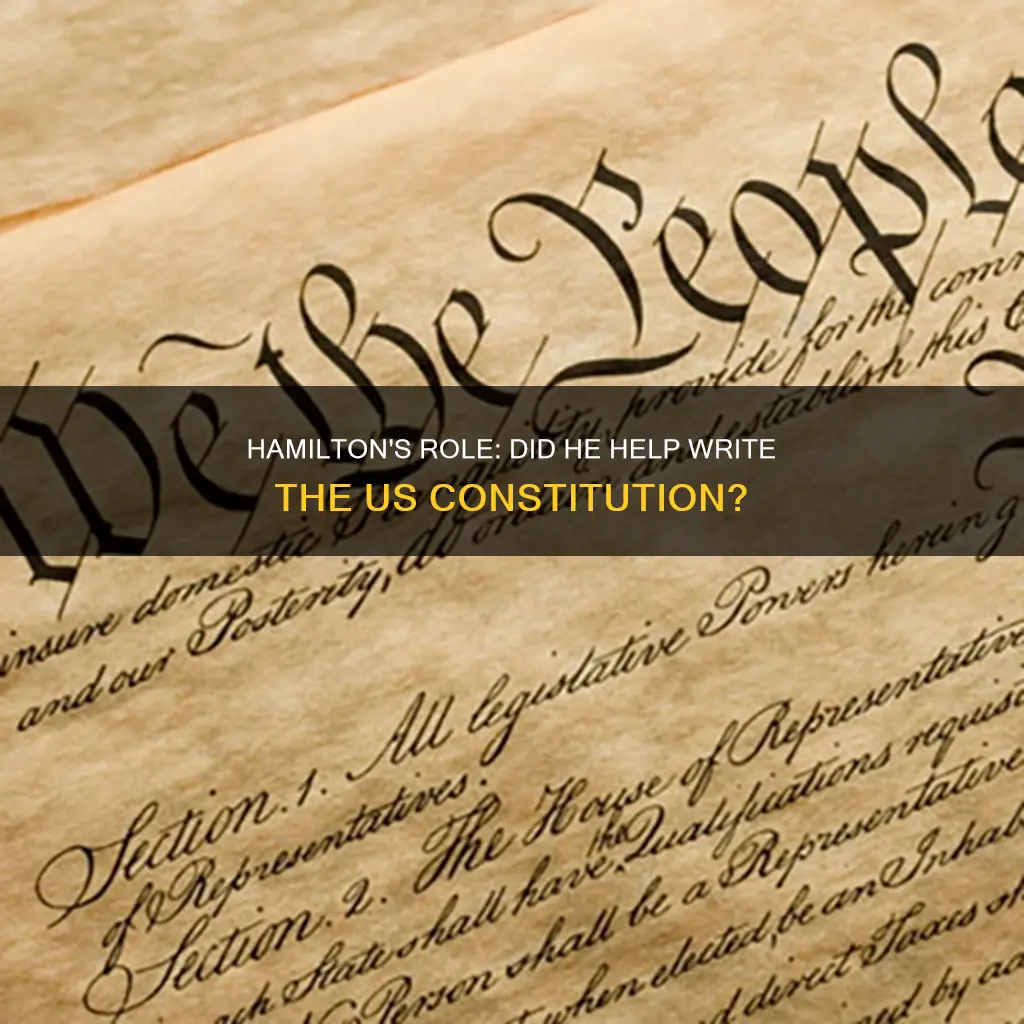 did alexander hamilton help write the us constitution