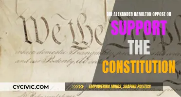 Hamilton's Stance: Constitution's Friend or Foe?