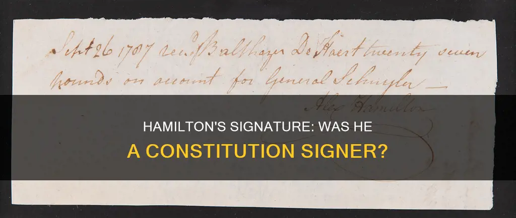 did alexander hamilton sign the constitution