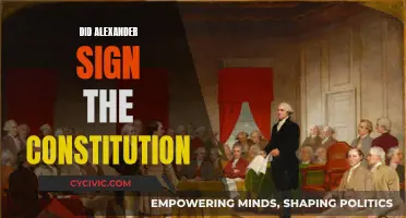 Alexander Hamilton's Influence on the US Constitution