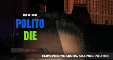 Anthony Polito Death: Unraveling the Truth Behind the Tragic Incident