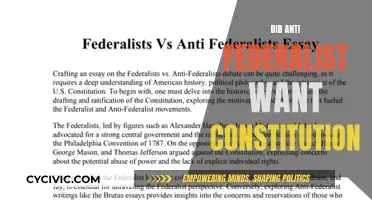 Anti-Federalists' Stance on the Constitution: A Complex Debate