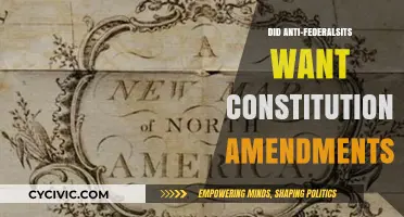 Anti-Federalists' Amendments: A Necessary Evil?