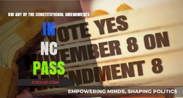 Constitutional Amendments in NC: What Passed?