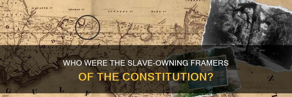 did any signers of the constitution owned slaves