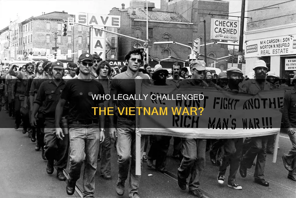 did anyone challenged the vn war on constitutional grounds