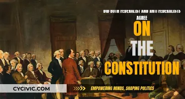 Federalists and Anti-Federalists: United by the Constitution