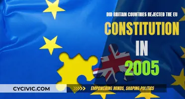 Britain's EU Constitution Rejection: Why and What Next?