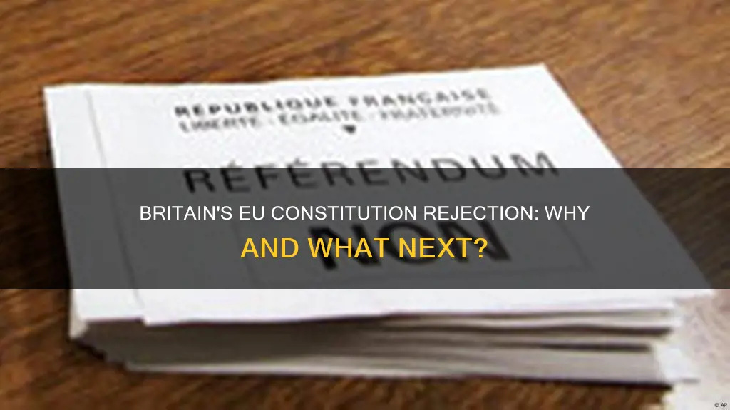 did britain countries rejected the eu constitution in 2005