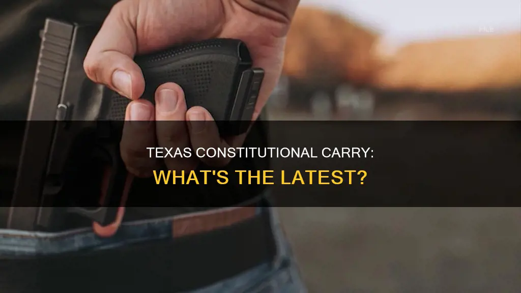 did constitutional carry in texas pass