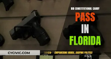 Florida's Constitutional Carry: What's the Latest?